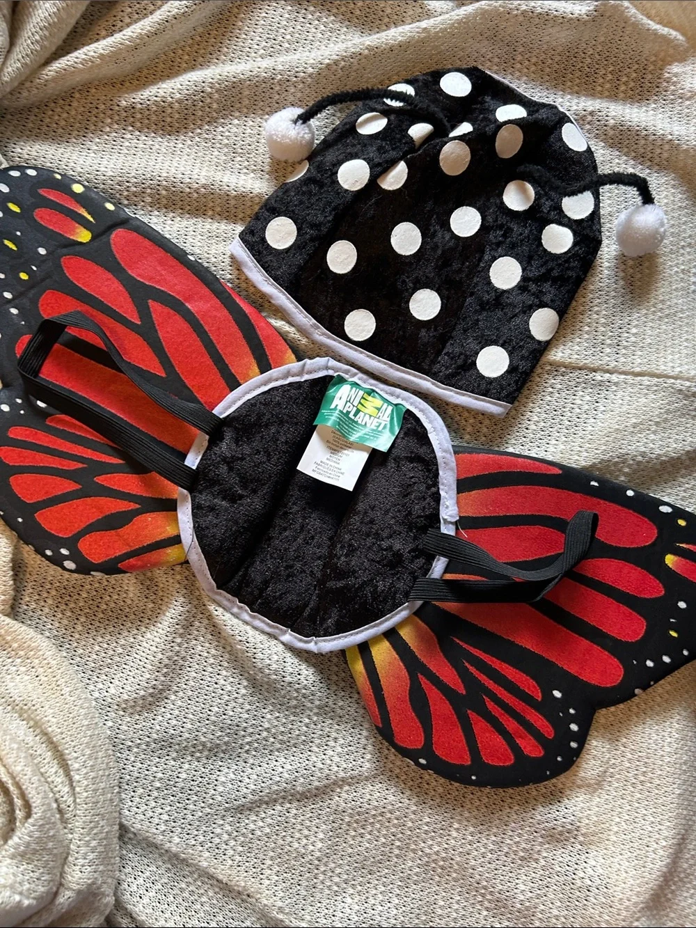 Animal Planet Black Polka Dot & Red Butterfly Dog Costume
